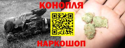 крисы Сланцы
