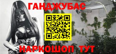 крисы Сланцы