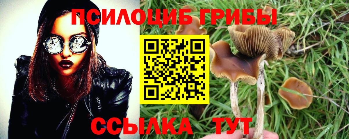 Галлюциногенные грибы Cubensis Новосибирск