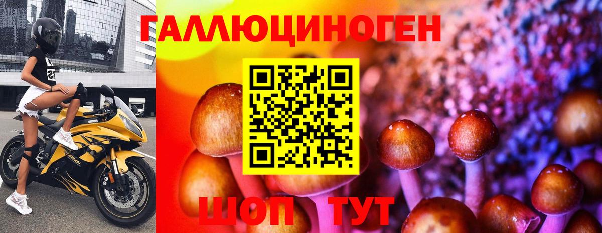Галлюциногенные грибы GOLDEN TEACHER  Псилоцибиновые грибы Psilocybe  Новосибирск  Вход с VPN 